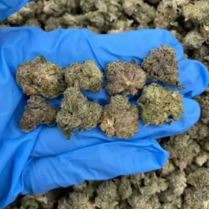 Buy Weed Online pennsylvania, where to buy weed in Philadelphia Pennsylvania, can I buy weed legally in Pittsburgh Pennsylvania, who sells medical weed in Allentown