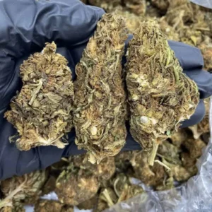 Buy Weed Wisconsin, where to buy weed in Milwaukee Wisconsin, can I buy weed legally in Madison Wisconsin, who sells medical weed in Green Bay Wisconsin