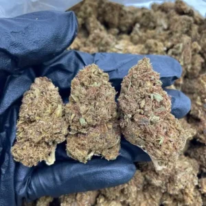 Buy Weed Oklahoma, where to buy weed in Oklahoma City Oklahoma, can I buy weed legally in Tulsa Oklahoma, who sells medical weed in Norman Oklahoma