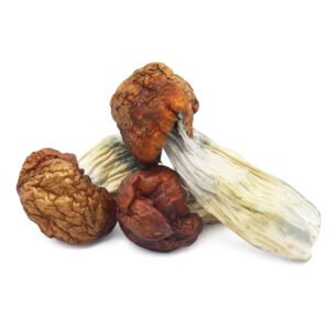 Buy magic mushrooms Massachusetts, where to buy magic mushroom online in Massachusetts, how to buy magic mushroom online safely in Massachusetts