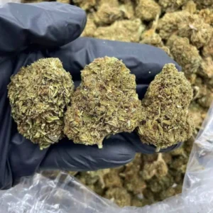 Buy Weed Online nebraska, buy marijuana in Nebraska, where to buy marijuana in Nebraska, how to buy marijuana legally in Nebraska, buy cannabis in Nebraska