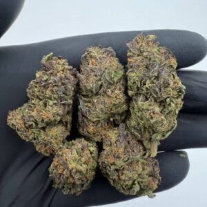 Buy Weed Montreal, where to buy marijuana in Montreal, can I buy marijuana legally in Montreal, who sells medical marijuana in Montreal, how to buy marijuana