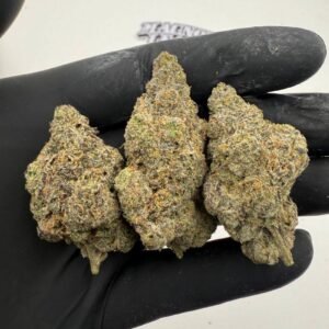 Buy Weed Ottawa, where to buy marijuana in Ottawa, can I buy marijuana legally in Ottawa, who sells medical marijuana in Ottawa, how to buy marijuana with a medical card Ottawa