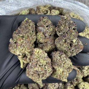 Buy Weed Calgary, where to buy marijuana in Calgary, can I buy marijuana legally in Calgary, who sells medical marijuana in Calgary, how to buy marijuana with a medical card Calgary